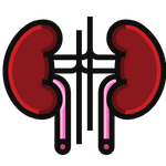 Nephrology